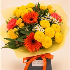 Citrus Burst 