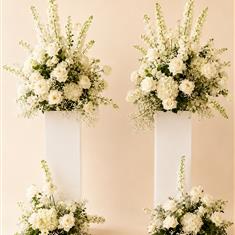 Pedestal Display (priced per one)