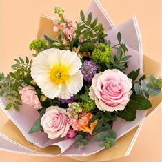 Pastel Poppy 