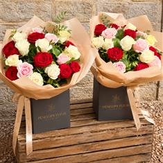 Mix Rose 24